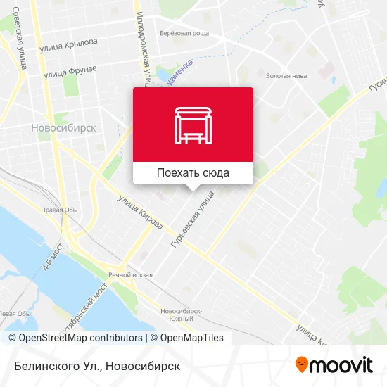 Карта Белинского Ул.