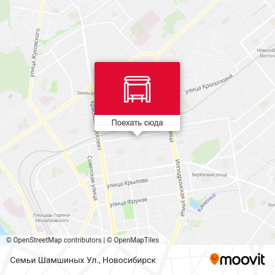 Карта Семьи Шамшиных Ул.