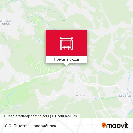 Карта С.О. Генетик