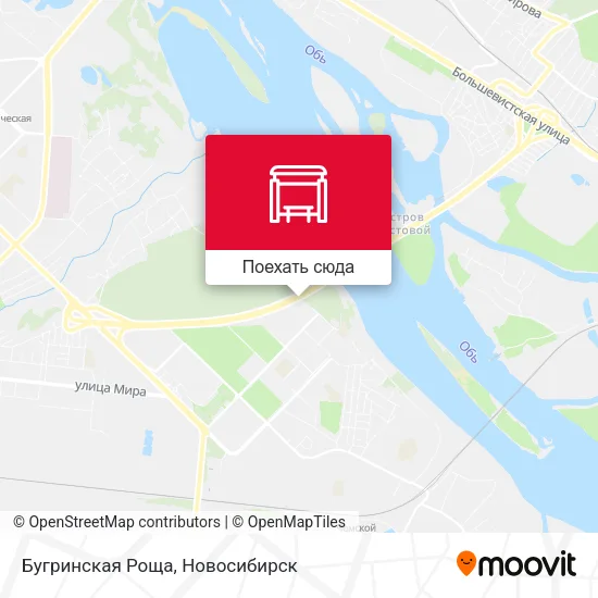 Карта Бугринская Роща