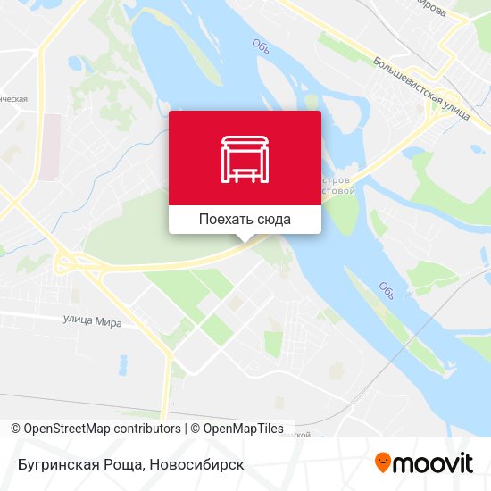 Карта Бугринская Роща