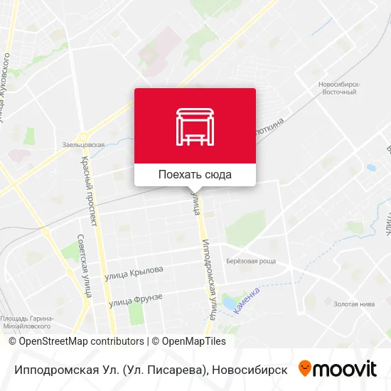 Карта Ипподромская Ул. (Ул. Писарева)