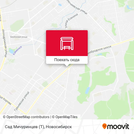 Карта Сад Мичуринцев (Т)