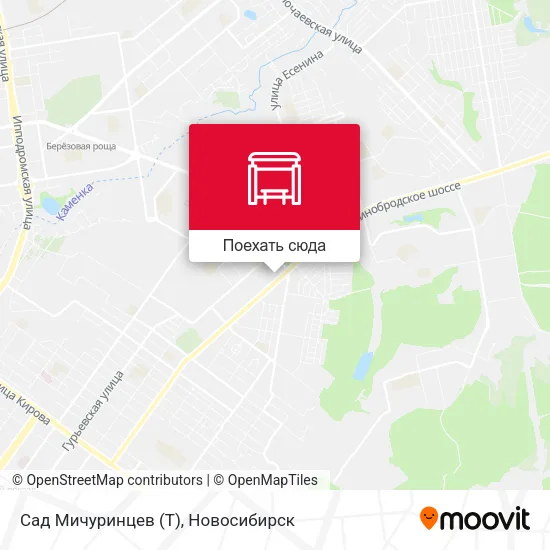 Карта Сад Мичуринцев (Т)