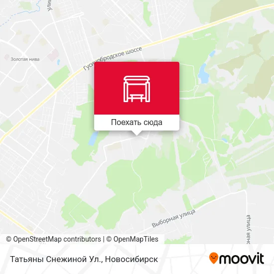Карта Татьяны Снежиной Ул.