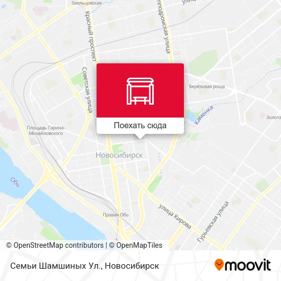 Карта Семьи Шамшиных Ул.