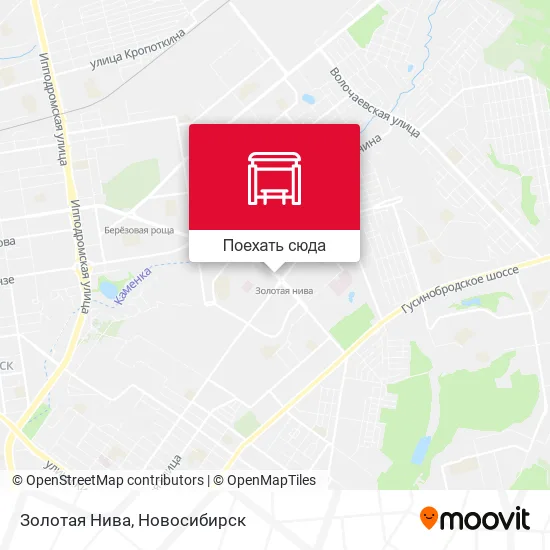 Карта Золотая Нива