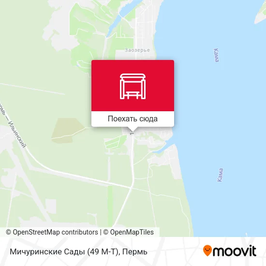 Карта Мичуринские Сады (49 М-Т)