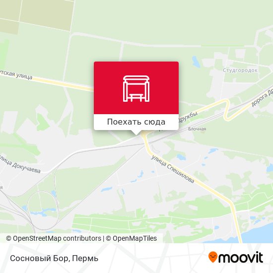Карта Сосновый Бор