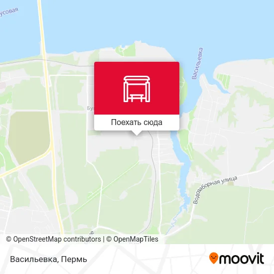 Карта Васильевка