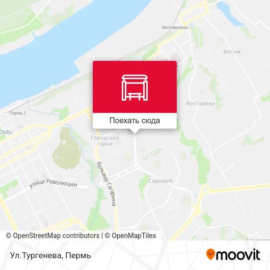 Карта Ул.Тургенева