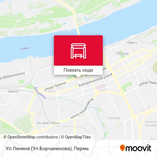 Карта Ул.Ленина (Ул.Борчанинова)