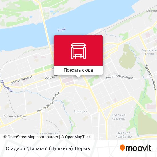 Карта Стадион "Динамо" (Пушкина)