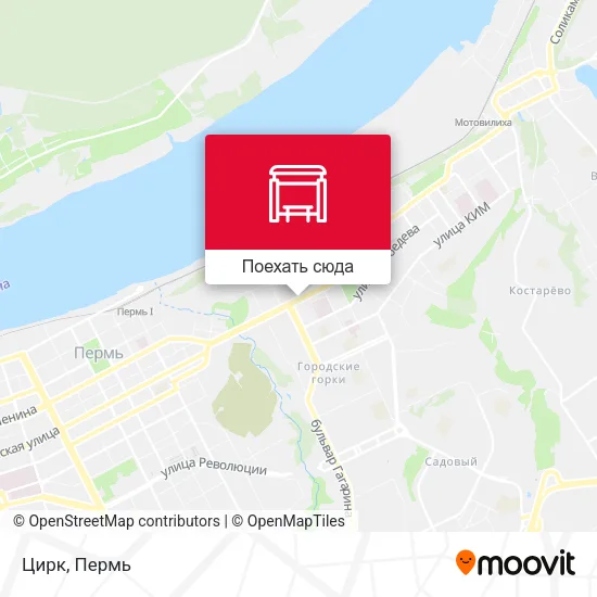 Карта Цирк