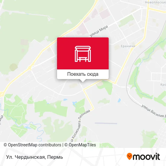 Карта Ул. Чердынская