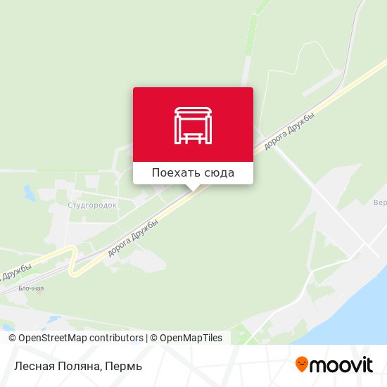 Карта Лесная Поляна