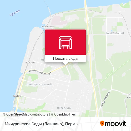 Карта Мичуринские Сады (Левшино)