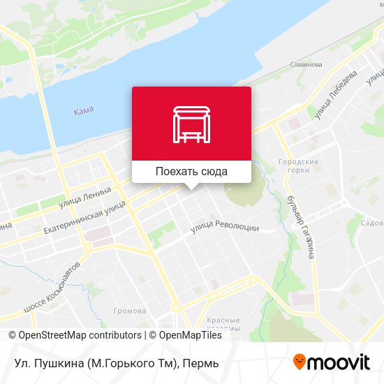 Карта Ул. Пушкина (М.Горького Тм)