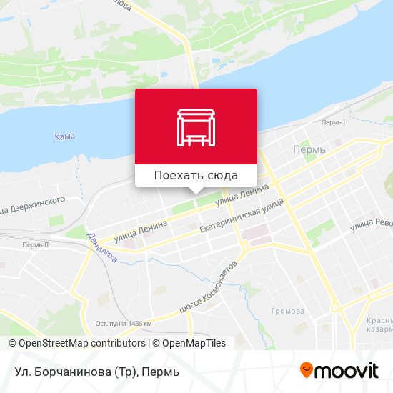 Карта Ул. Борчанинова (Тр)