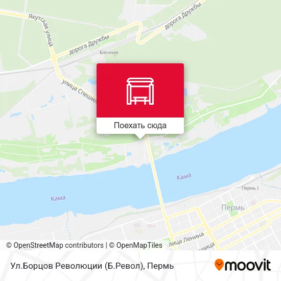 Карта Ул.Борцов Революции (Б.Револ)