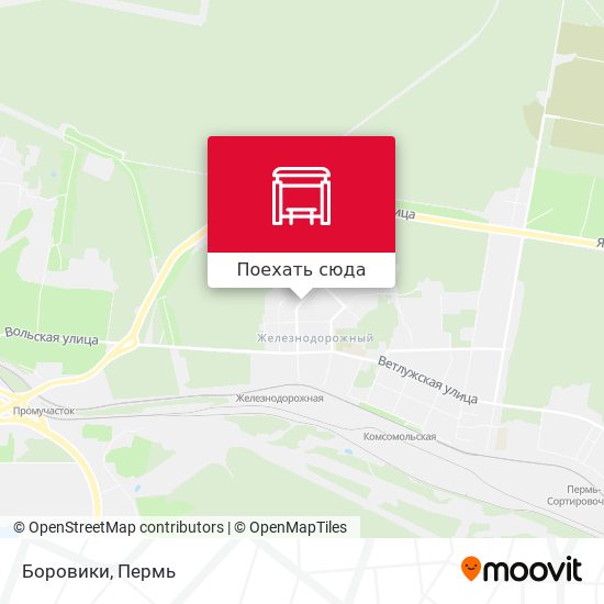 Карта Боровики