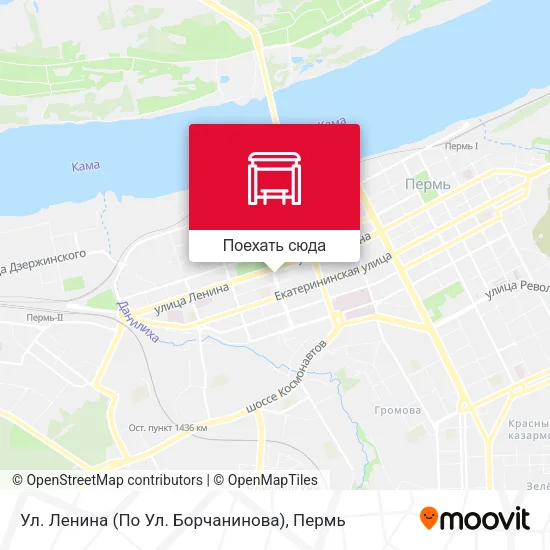 Карта Ул. Ленина (По Ул. Борчанинова)