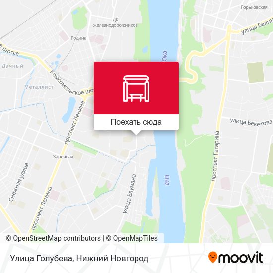 Карта Улица Голубева