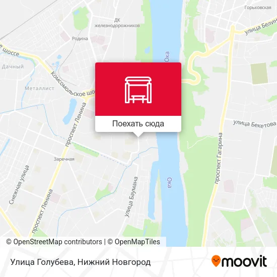 Карта Улица Голубева