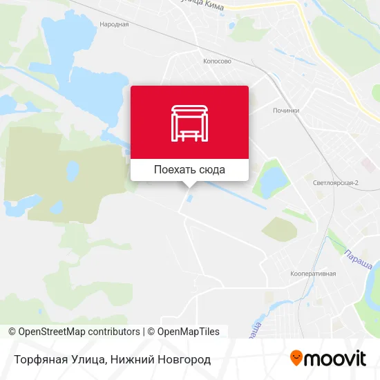 Карта Торфяная Улица
