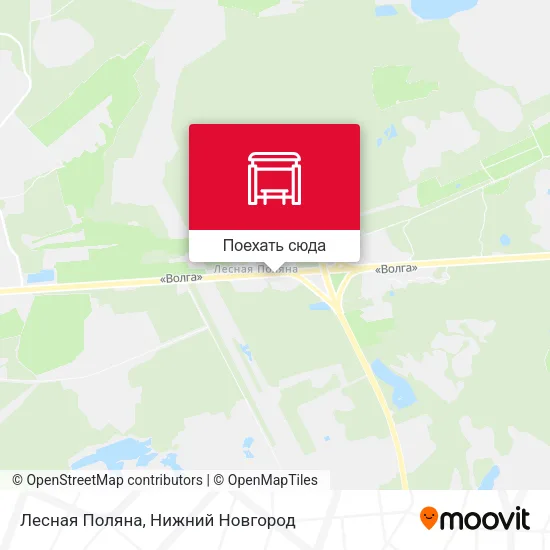 Карта Лесная Поляна