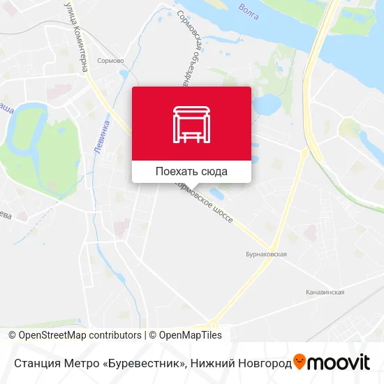 Карта Станция Метро «Буревестник»