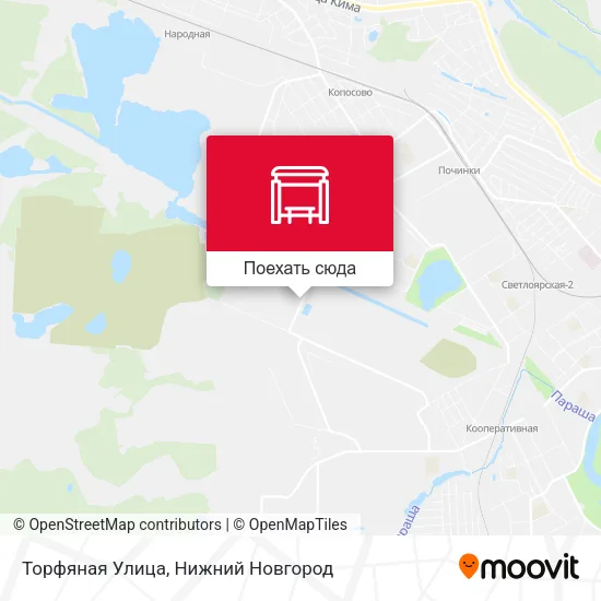 Карта Торфяная Улица