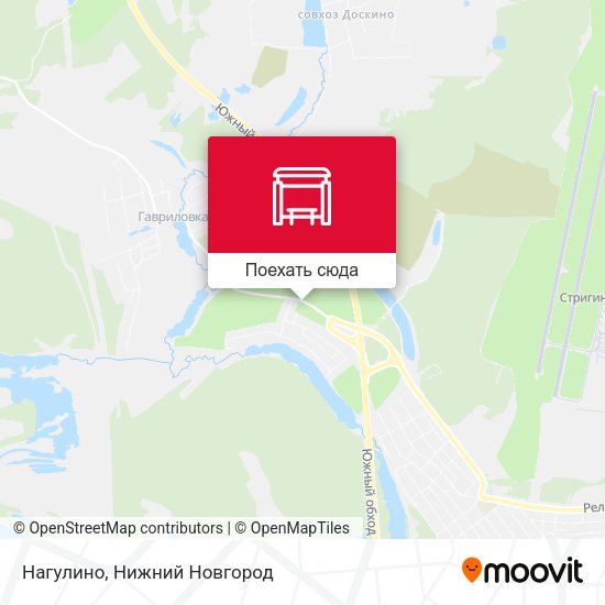 Карта Нагулино