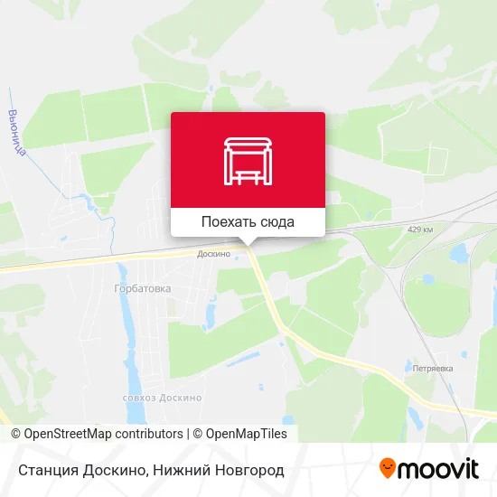 Карта Станция Доскино