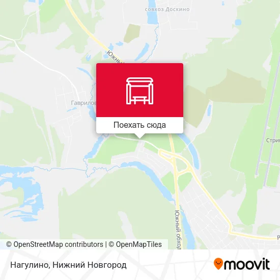 Карта Нагулино