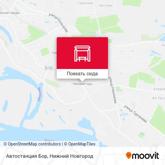 Карта Автостанция Бор