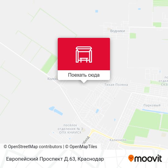 Карта Европейский Проспект Д.63