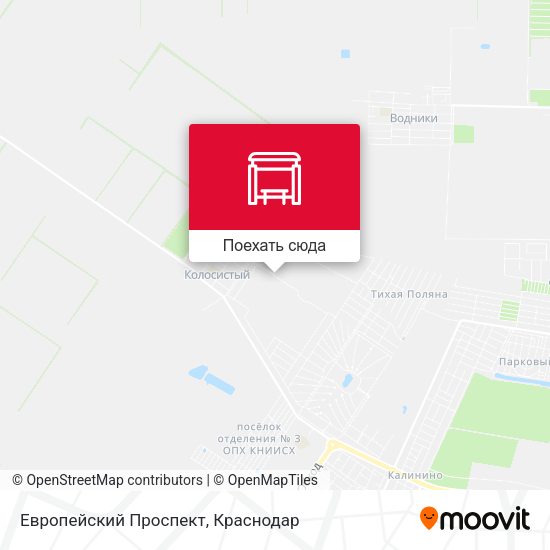 Карта Европейский Проспект