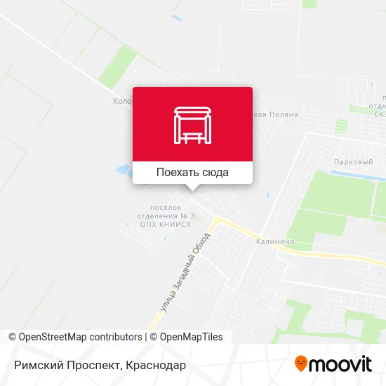 Карта Римский Проспект