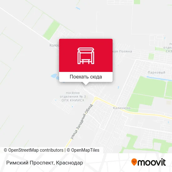 Карта Римский Проспект