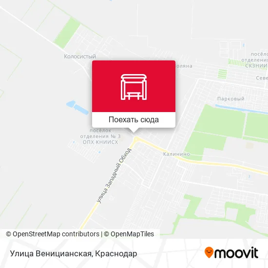 Карта Улица Веницианская