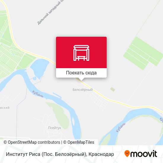 Карта Институт Риса (Пос. Белозёрный)