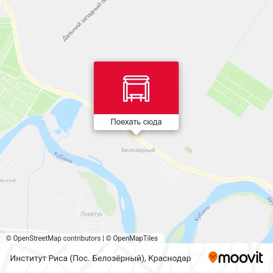 Карта Институт Риса (Пос. Белозёрный)