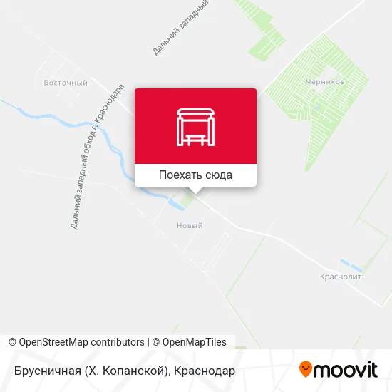 Карта Брусничная (Х. Копанской)