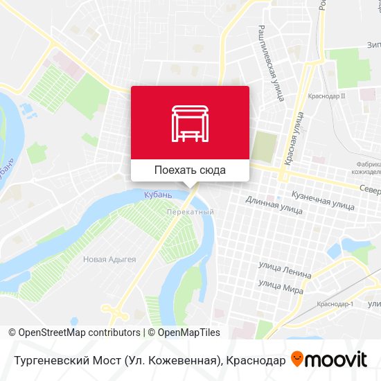 Карта Тургеневский Мост (Ул. Кожевенная)