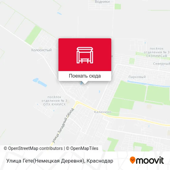 Карта Улица Гете(Немецкая Деревня)