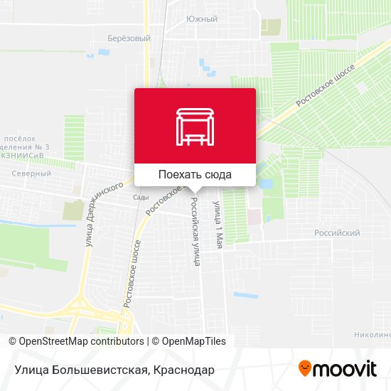 Карта Улица Большевистская