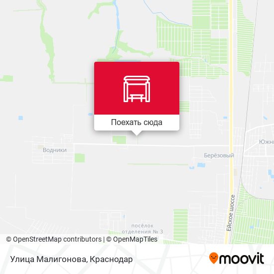 Карта Улица Малигонова