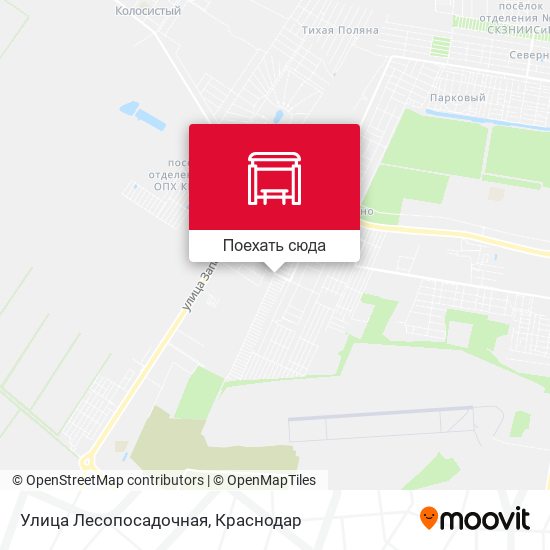 Карта Улица Лесопосадочная