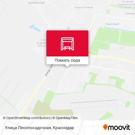 Карта Улица Лесопосадочная